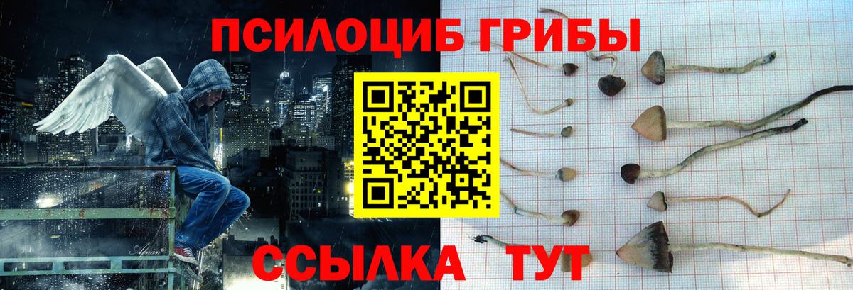 Галлюциногенные грибы ЛСД Избербаш